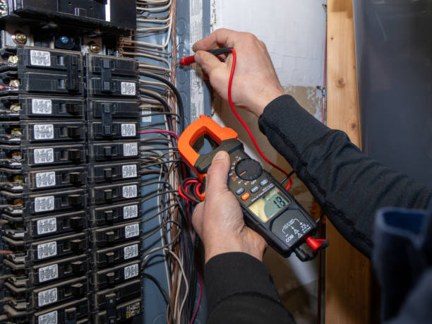 Best Electrician for Home Renovation  in Lakewood Clu, MI